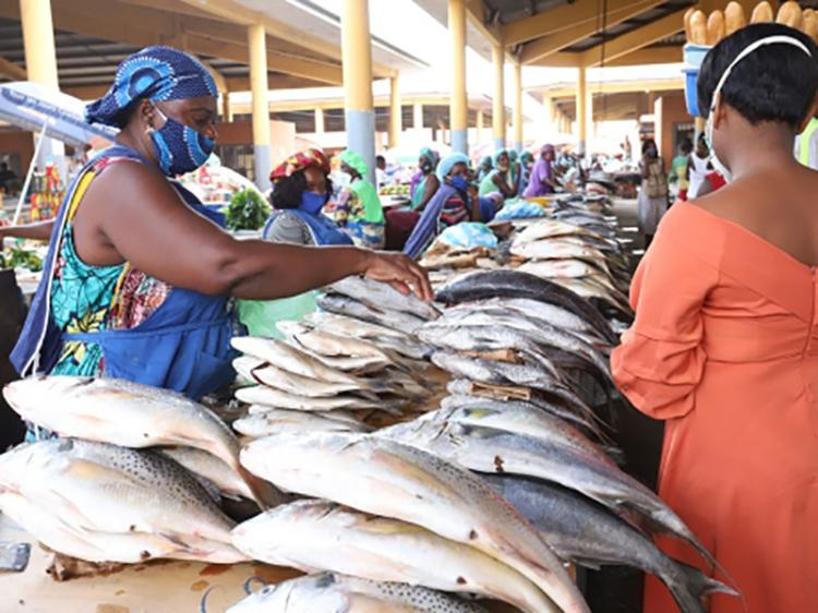 Mulheres capacitadas em agronegócio e das pescas